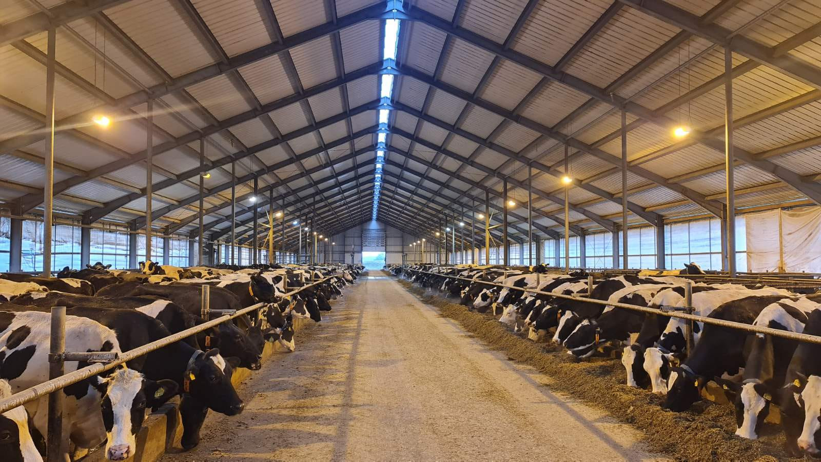 Vizită la Ferma Agrar GmbH Heiligenstadt Günterode & co KG