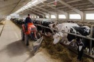 Studiu de caz 7: Ferma de bovine a SRL Neolacta