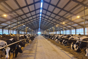 Vizită la Ferma Agrar GmbH Heiligenstadt Günterode & co KG